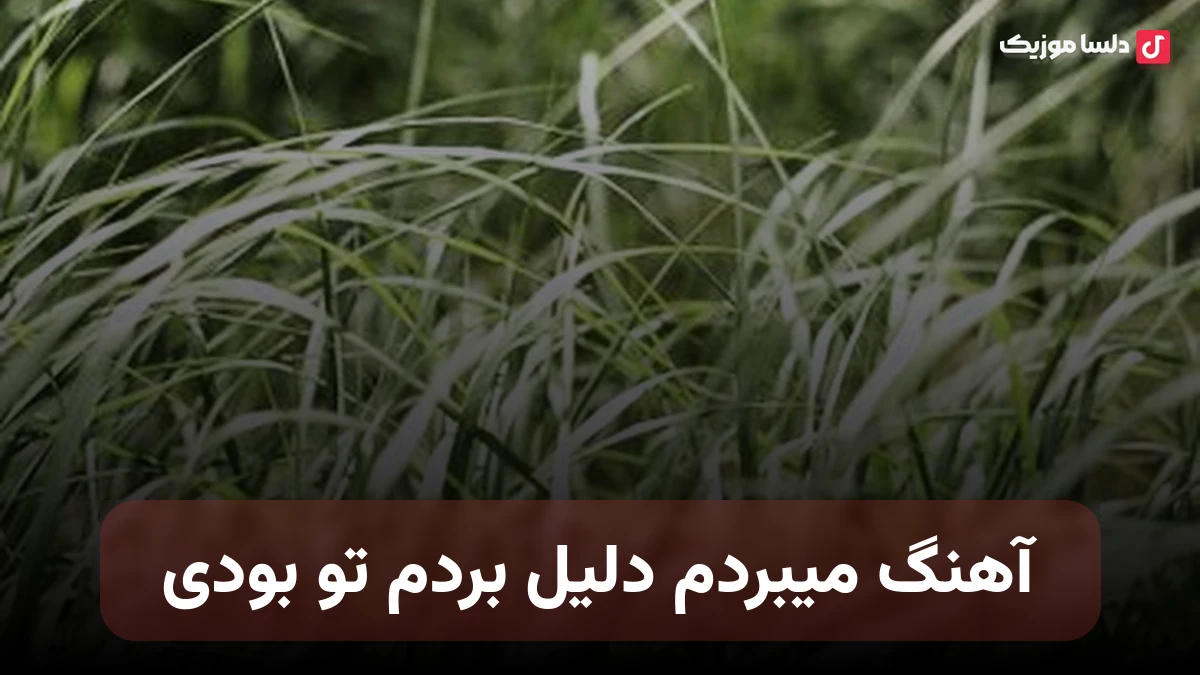 میبردم دلیل بردم تو بودی با صدای زن